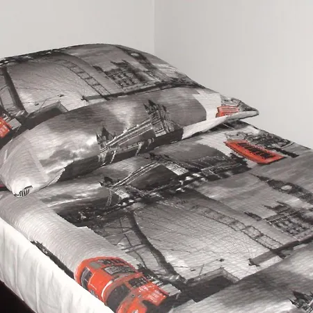 Kamienna Centrum Vandrarhem *